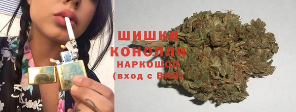 спиды Богородск